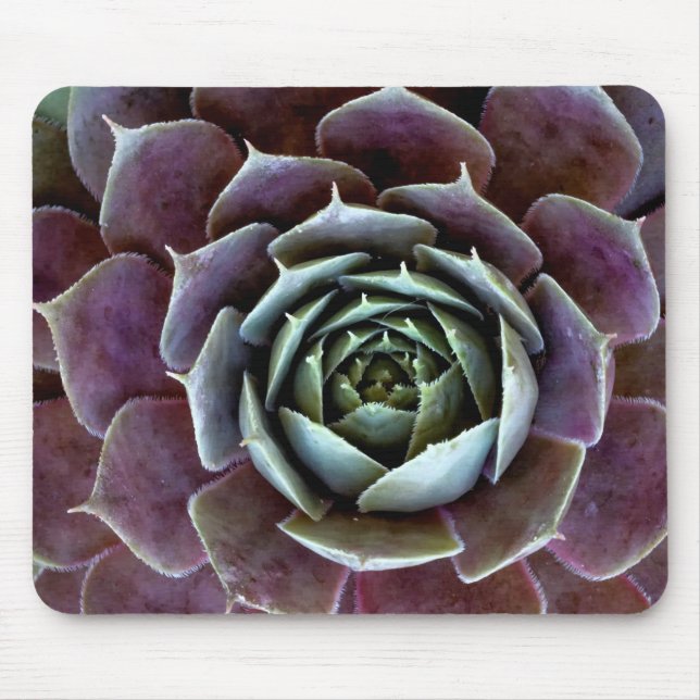 Purple Succulent Close-Up Mouse Mat (Front)