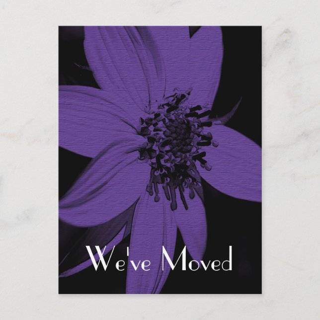 Purple Sunflower New Address Floral Art Postcard (Front)