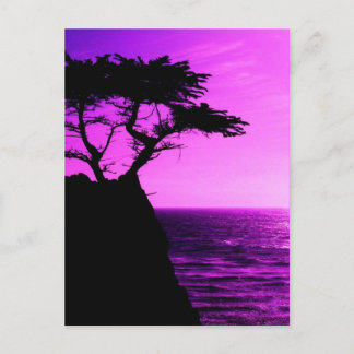Purple Sunset Beach Tree Ocean Peace Love Destiny Postcard