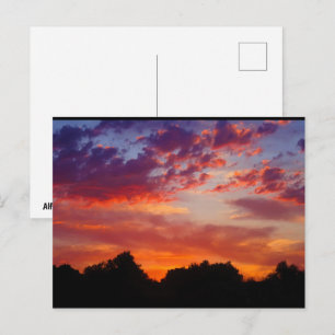 Purple Sunset Landscape Postcard