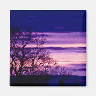 Purple Sunset Tree Silhouette fridge magnet