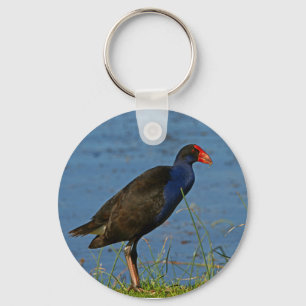 Purple Swamphen Key Ring