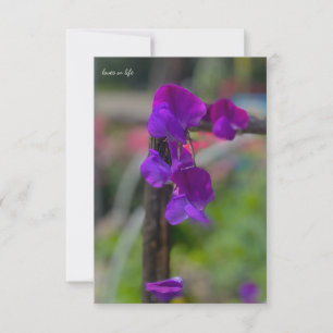 Purple Sweet Pea Card