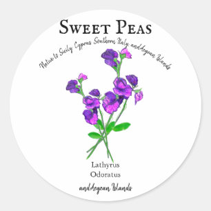 Purple Sweet Peas Flowers Art with Text Classic Round Sticker