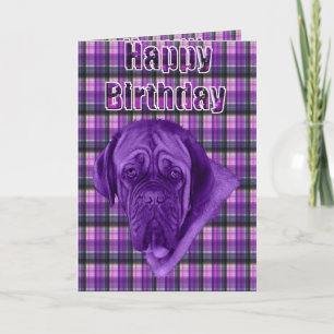 Purple Tartan Dogue De Bordeaux Dog Card