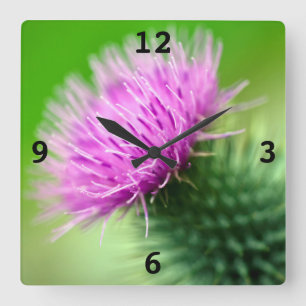 Purple thistle flower Acrylic wall clock