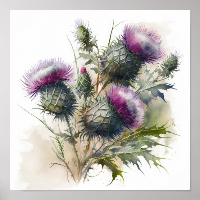 Purple Thistle Flower Art Print Poster (Front)