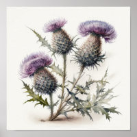 Purple Thistle Flower Art Print Poster