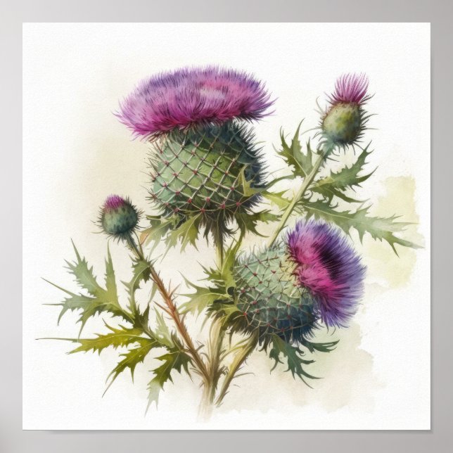 Purple Thistle Flower Art Print Poster (Front)