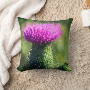 Purple Thistle Flower Close Up Cushion
