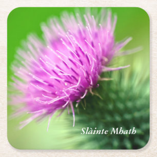 Purple Thistle Square Paper Coaster