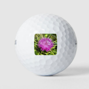 Purple Thistle Wildflower Floral Art Golf Balls