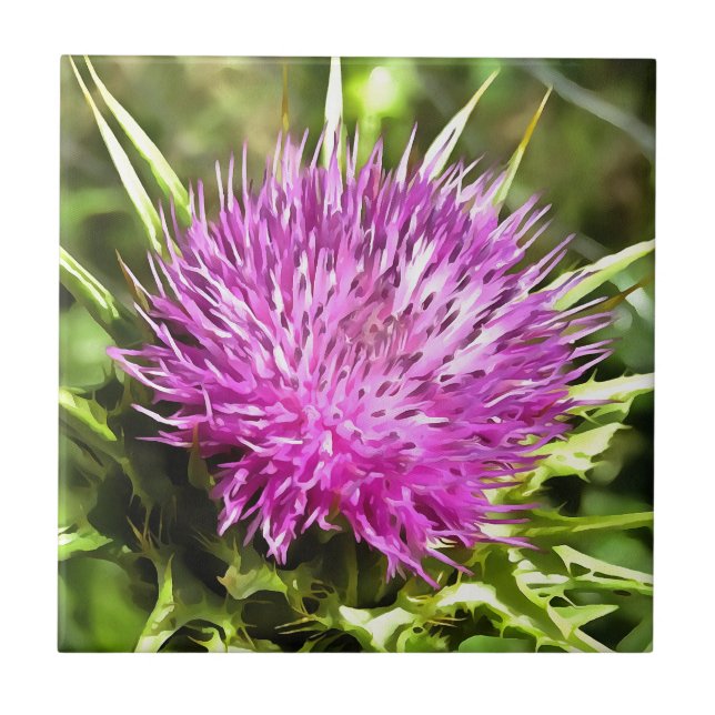 Purple Thistle Wildflower Floral Art Tile (Front)