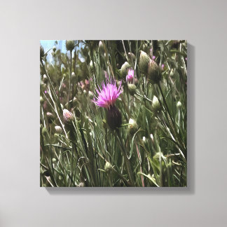 Purple Thistle Wildflower Realistic Art  Canvas Print