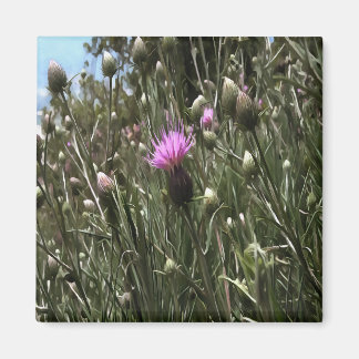 Purple Thistle Wildflower Realistic Art Magnet