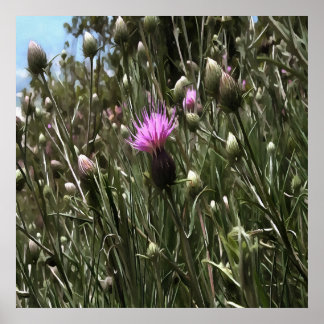 Purple Thistle Wildflower Realistic Art Poster