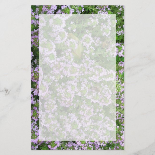 Purple Thyme Stationery (Front)