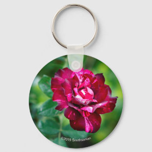 Purple Tiger Rose Key Ring