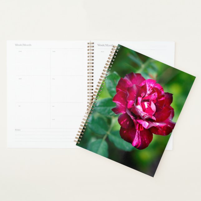 Purple Tiger Rose Planner (Display)