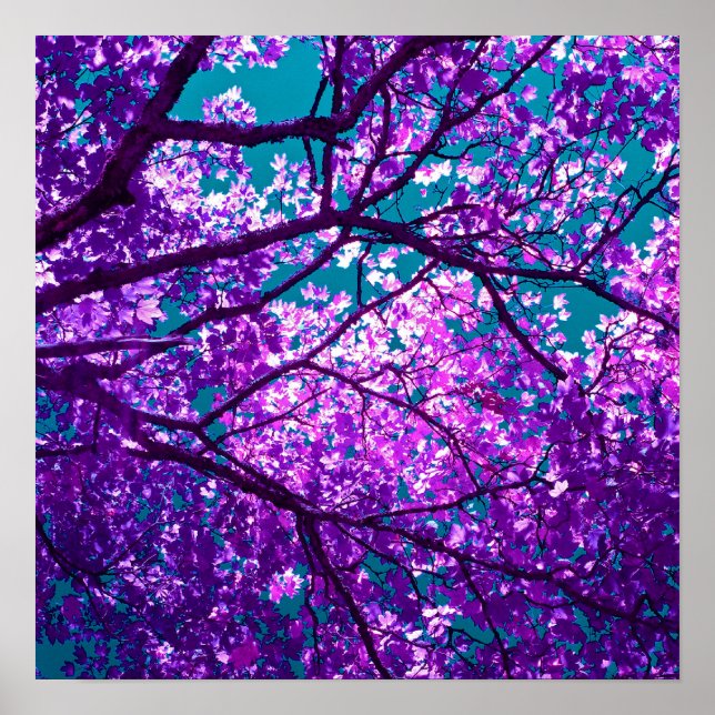 Purple tree II Poster (Front)
