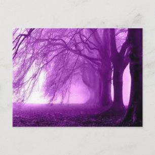purple trees postcard