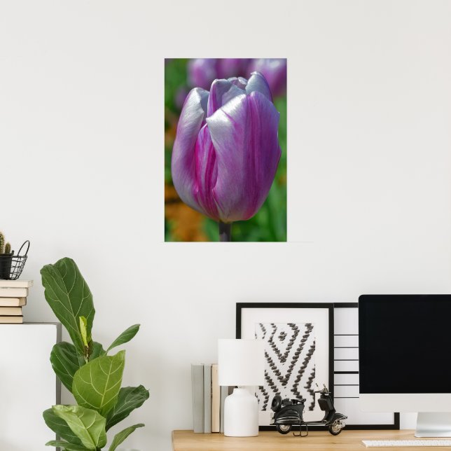 Purple Tulip Art Poster (Home Office)