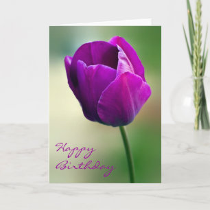 Purple Tulip Birthday Card