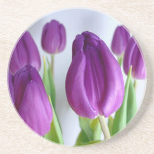 Purple Tulip Coaster