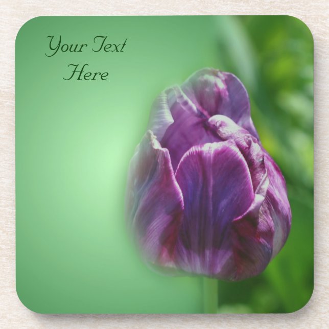 Purple Tulip Flower Nature Coaster Set (Front)