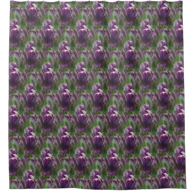 Purple Tulip Flower Nature Pattern  Shower Curtain (Front)