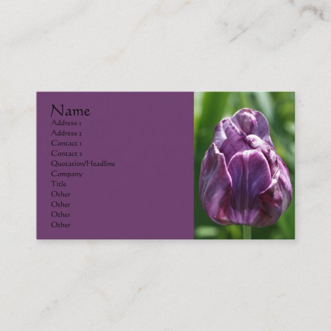 Purple Tulip Flower Photography Business Card (Front)