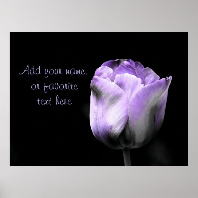 Purple Tulip- Personalise or Customise Poster (Front)