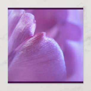 Purple Tulip Petal Invitation