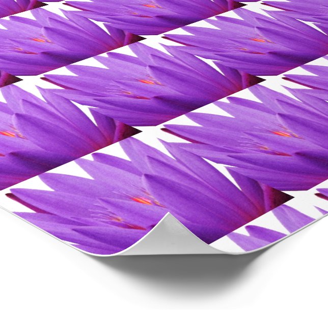 Purple Tulip Poster (Corner)