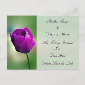 Purple Tulip wedding save the date Announcement Postcard