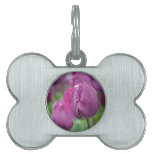 Purple Tulip with water drops Pet Name Tag
