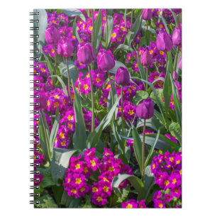 Purple tulips and primroses notebook