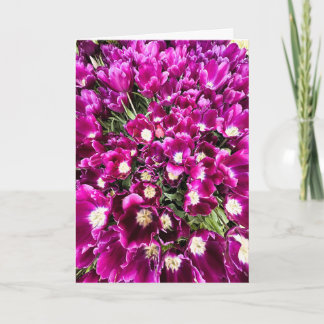 Purple Tulips Blank Card