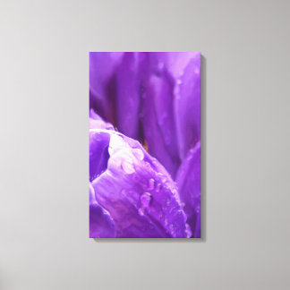 Purple Tulips Canvas Print