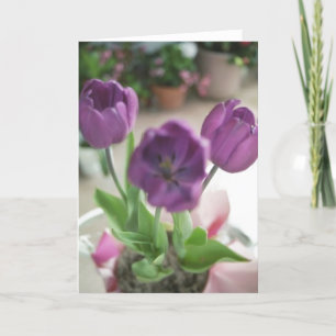 Purple Tulips Card