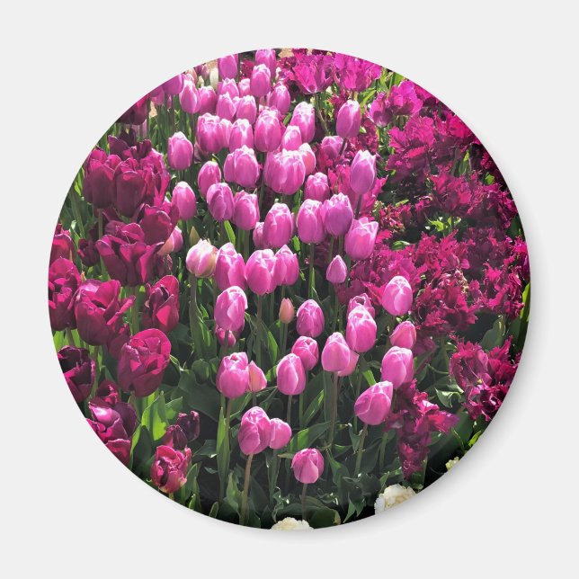 Purple Tulips Garden Bed Magnet (Front)