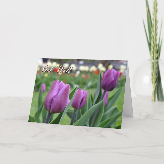 Purple Tulips - Get Well-Customise Card (Front)