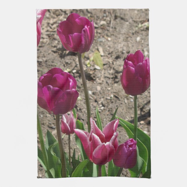 Purple Tulips Kitchen Towel (Vertical)