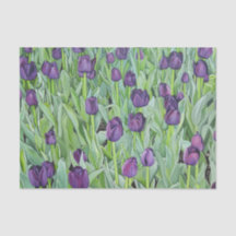 Purple Tulips