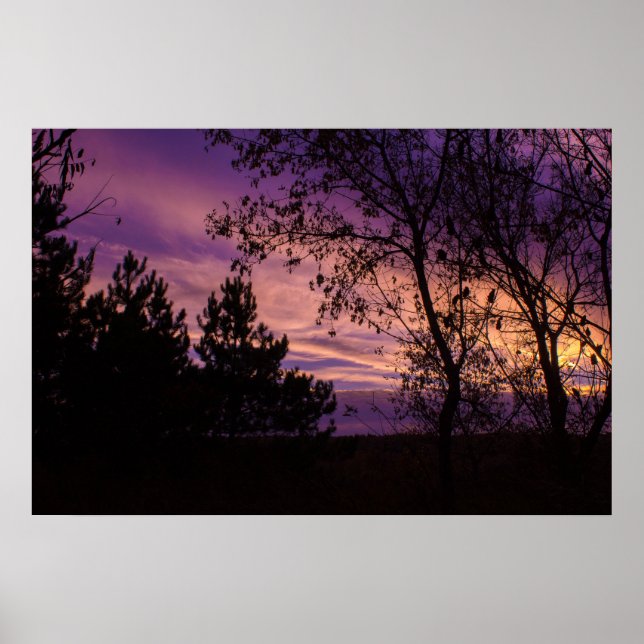 Purple Twilight Sky Tree Silhouette  Poster (Front)