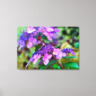Purple Twist and Shout Hydrangea Flower Canvas Print
