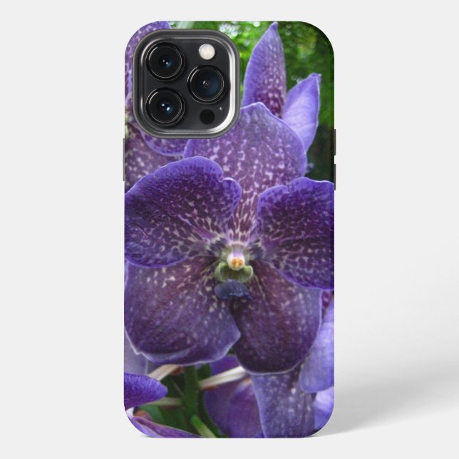 Purple Vanda iPhone 13 Pro Max Case (Back)
