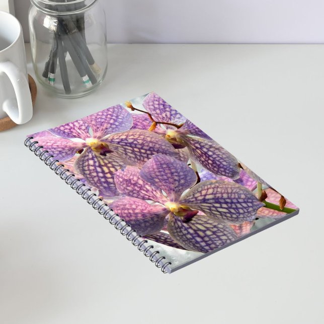 Purple Vanda Orchids Floral Notebook (In Situ)