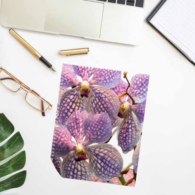 Purple Vanda Orchids Floral Notebook (In Situ)