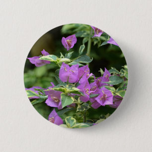 Purple Variegated Crepe and Myrtle 6 Cm Round Badge